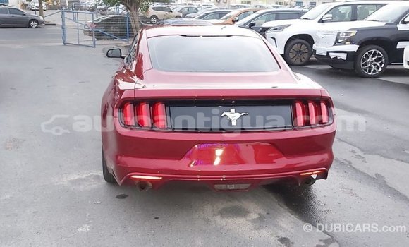 Buy Import Ford Mustang Red Car in Import - Dubai in Antigua Buy Import Ford Mustang Red Car in Import - Dubai in Antigua