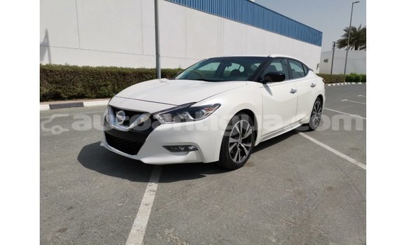 Buy Import Nissan Maxima White Car in Import - Dubai in Antigua Buy Import Nissan Maxima White Car in Import - Dubai in Antigua