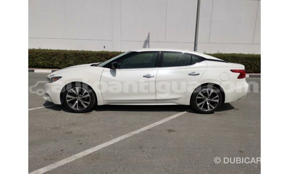 Buy Import Nissan Maxima White Car in Import - Dubai in Antigua Buy Import Nissan Maxima White Car in Import - Dubai in Antigua