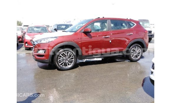 Buy Import Hyundai Tucson Red Car in Import - Dubai in Antigua Buy Import Hyundai Tucson Red Car in Import - Dubai in Antigua