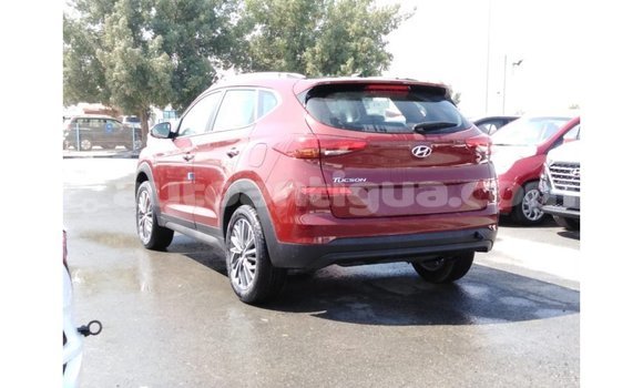 Buy Import Hyundai Tucson Red Car in Import - Dubai in Antigua Buy Import Hyundai Tucson Red Car in Import - Dubai in Antigua