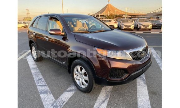 Buy Import Kia Sorento Brown Car in Import - Dubai in Antigua Buy Import Kia Sorento Brown Car in Import - Dubai in Antigua