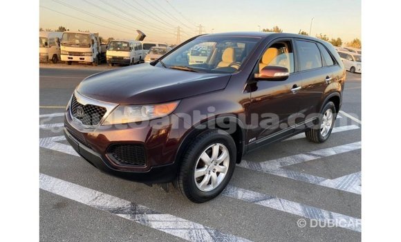 Buy Import Kia Sorento Brown Car in Import - Dubai in Antigua Buy Import Kia Sorento Brown Car in Import - Dubai in Antigua