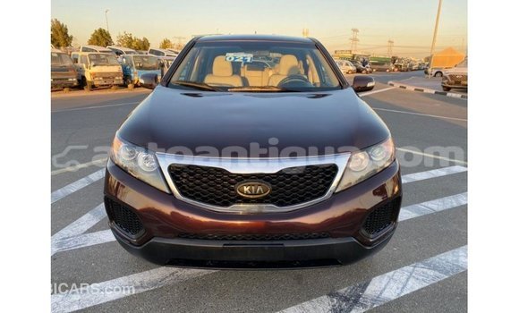 Buy Import Kia Sorento Brown Car in Import - Dubai in Antigua Buy Import Kia Sorento Brown Car in Import - Dubai in Antigua