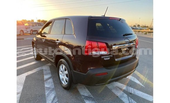 Buy Import Kia Sorento Brown Car in Import - Dubai in Antigua Buy Import Kia Sorento Brown Car in Import - Dubai in Antigua