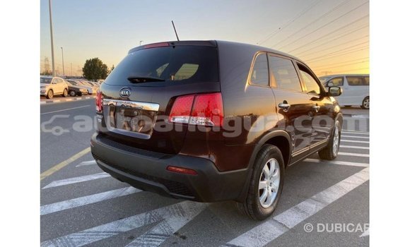 Buy Import Kia Sorento Brown Car in Import - Dubai in Antigua Buy Import Kia Sorento Brown Car in Import - Dubai in Antigua