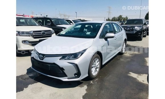 Buy Import Toyota Corolla White Car in Import - Dubai in Antigua Buy Import Toyota Corolla White Car in Import - Dubai in Antigua