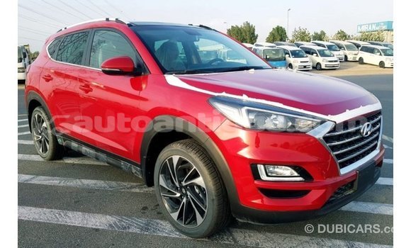 Buy Import Hyundai Tucson Red Car in Import - Dubai in Antigua Buy Import Hyundai Tucson Red Car in Import - Dubai in Antigua