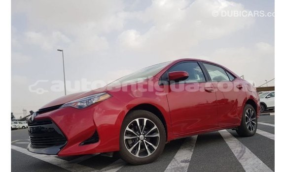 Buy Import Toyota Corolla Red Car in Import - Dubai in Antigua Buy Import Toyota Corolla Red Car in Import - Dubai in Antigua