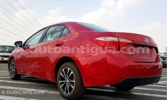 Buy Import Toyota Corolla Red Car in Import - Dubai in Antigua Buy Import Toyota Corolla Red Car in Import - Dubai in Antigua