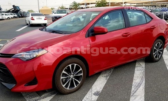 Buy Import Toyota Corolla Red Car in Import - Dubai in Antigua Buy Import Toyota Corolla Red Car in Import - Dubai in Antigua