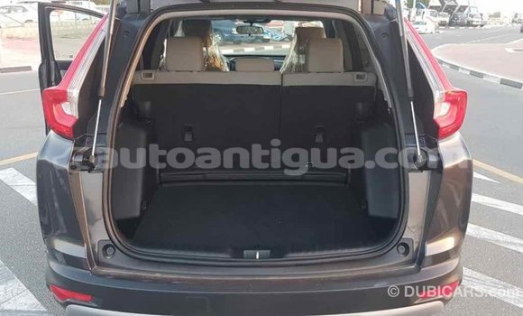 Buy Import Honda C Other Bike in Import - Dubai in Antigua Buy Import Honda C Other Bike in Import - Dubai in Antigua