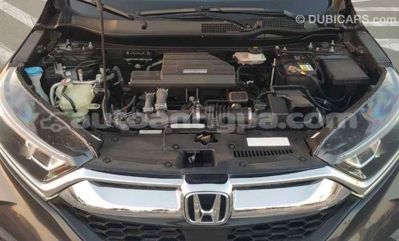 Buy Import Honda C Other Bike in Import - Dubai in Antigua