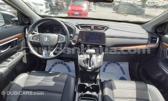 Buy Import Honda C Other Bike in Import - Dubai in Antigua Buy Import Honda C Other Bike in Import - Dubai in Antigua