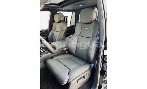 Buy Import Lexus LX Black Car in Import - Dubai in Antigua Buy Import Lexus LX Black Car in Import - Dubai in Antigua