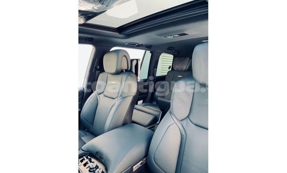 Buy Import Lexus LX Black Car in Import - Dubai in Antigua Buy Import Lexus LX Black Car in Import - Dubai in Antigua