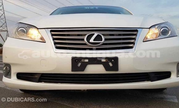 Buy Import Lexus ES White Car in Import - Dubai in Antigua Buy Import Lexus ES White Car in Import - Dubai in Antigua