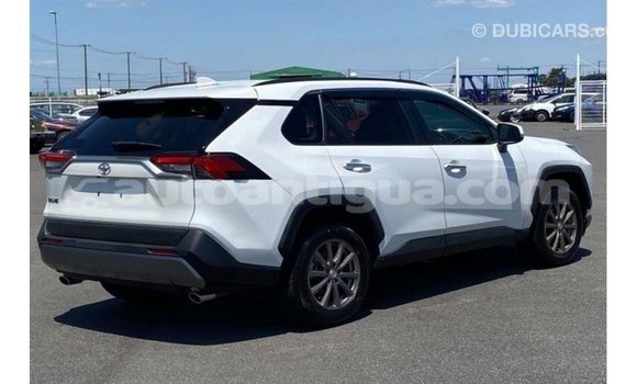 Buy Import Toyota HiAce White Truck in Import - Dubai in Antigua Buy Import Toyota HiAce White Truck in Import - Dubai in Antigua