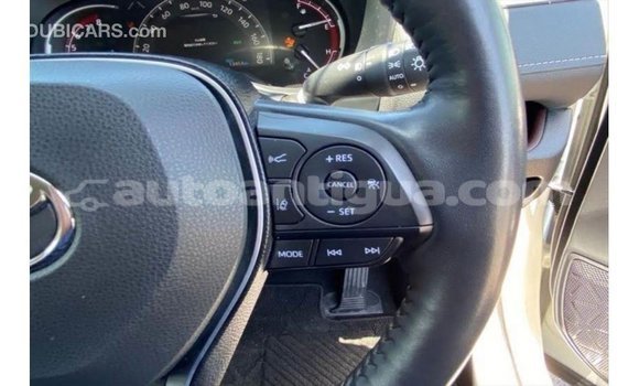 Buy Import Toyota HiAce White Truck in Import - Dubai in Antigua Buy Import Toyota HiAce White Truck in Import - Dubai in Antigua