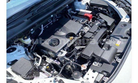 Buy Import Toyota HiAce White Truck in Import - Dubai in Antigua Buy Import Toyota HiAce White Truck in Import - Dubai in Antigua