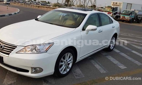Buy Import Lexus ES White Car in Import - Dubai in Antigua Buy Import Lexus ES White Car in Import - Dubai in Antigua