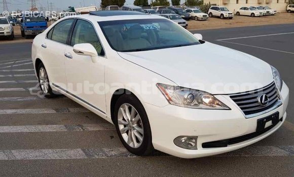 Buy Import Lexus ES White Car in Import - Dubai in Antigua Buy Import Lexus ES White Car in Import - Dubai in Antigua