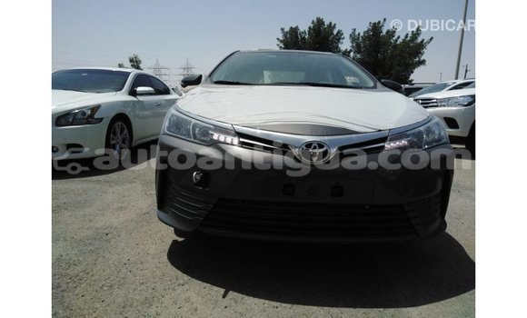 Buy Import Toyota Corolla Other Car in Import - Dubai in Antigua Buy Import Toyota Corolla Other Car in Import - Dubai in Antigua