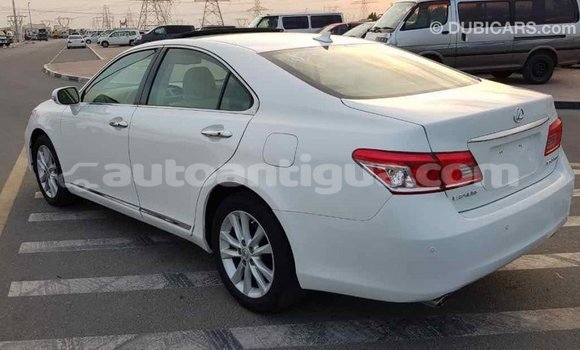 Buy Import Lexus ES White Car in Import - Dubai in Antigua Buy Import Lexus ES White Car in Import - Dubai in Antigua