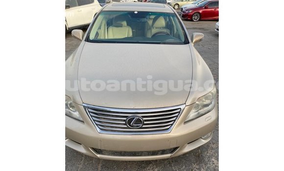 Buy Import Lexus LS Other Car in Import - Dubai in Antigua Buy Import Lexus LS Other Car in Import - Dubai in Antigua
