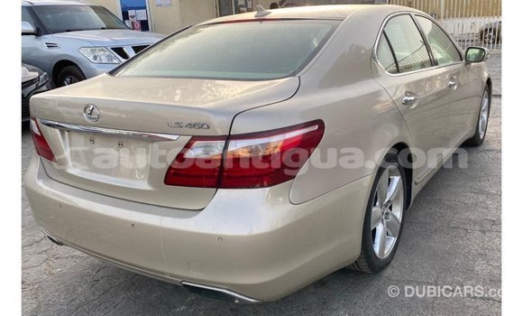 Buy Import Lexus LS Other Car in Import - Dubai in Antigua Buy Import Lexus LS Other Car in Import - Dubai in Antigua