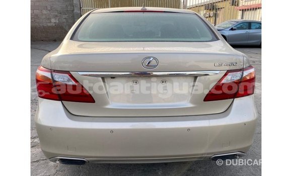 Buy Import Lexus LS Other Car in Import - Dubai in Antigua Buy Import Lexus LS Other Car in Import - Dubai in Antigua