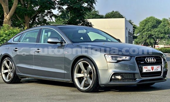 Buy Import Audi 100 Other Car in Import - Dubai in Antigua