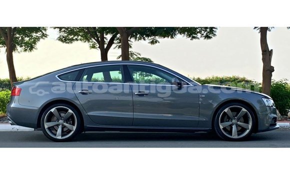 Buy Import Audi 100 Other Car in Import - Dubai in Antigua Buy Import Audi 100 Other Car in Import - Dubai in Antigua