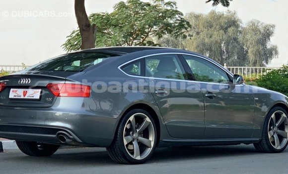 Buy Import Audi 100 Other Car in Import - Dubai in Antigua Buy Import Audi 100 Other Car in Import - Dubai in Antigua