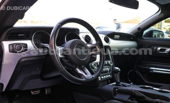Buy Import Ford Mustang Black Car in Import - Dubai in Antigua Buy Import Ford Mustang Black Car in Import - Dubai in Antigua