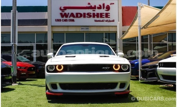 Buy Import Dodge Challenger White Car in Import - Dubai in Antigua Buy Import Dodge Challenger White Car in Import - Dubai in Antigua