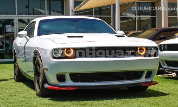 Buy Import Dodge Challenger White Car in Import - Dubai in Antigua Buy Import Dodge Challenger White Car in Import - Dubai in Antigua