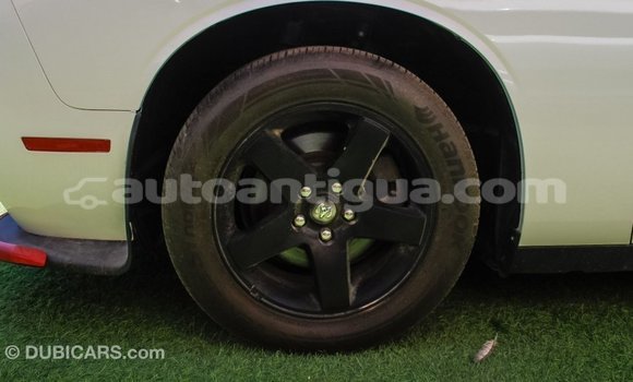 Buy Import Dodge Challenger White Car in Import - Dubai in Antigua Buy Import Dodge Challenger White Car in Import - Dubai in Antigua
