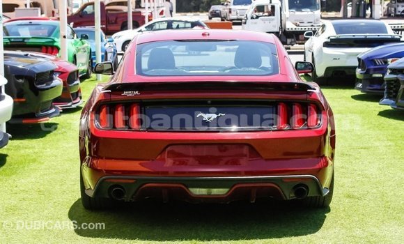 Buy Import Ford Mustang Red Car in Import - Dubai in Antigua Buy Import Ford Mustang Red Car in Import - Dubai in Antigua