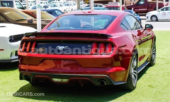 Buy Import Ford Mustang Red Car in Import - Dubai in Antigua Buy Import Ford Mustang Red Car in Import - Dubai in Antigua