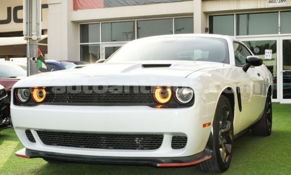 Buy Import Dodge Challenger White Car in Import - Dubai in Antigua