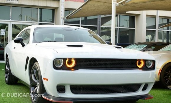 Buy Import Dodge Challenger White Car in Import - Dubai in Antigua Buy Import Dodge Challenger White Car in Import - Dubai in Antigua
