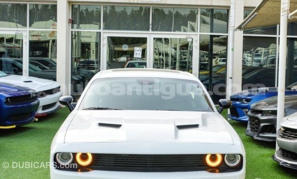 Buy Import Dodge Challenger White Car in Import - Dubai in Antigua Buy Import Dodge Challenger White Car in Import - Dubai in Antigua