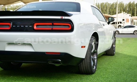 Buy Import Dodge Challenger White Car in Import - Dubai in Antigua Buy Import Dodge Challenger White Car in Import - Dubai in Antigua
