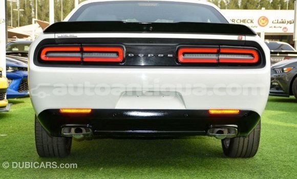 Buy Import Dodge Challenger White Car in Import - Dubai in Antigua Buy Import Dodge Challenger White Car in Import - Dubai in Antigua