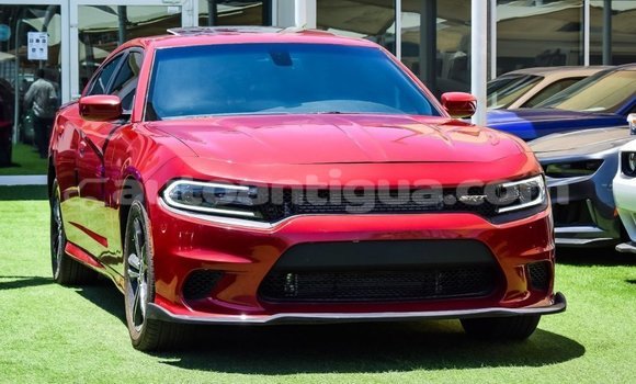 Buy Import Dodge Charger Red Car in Import - Dubai in Antigua
