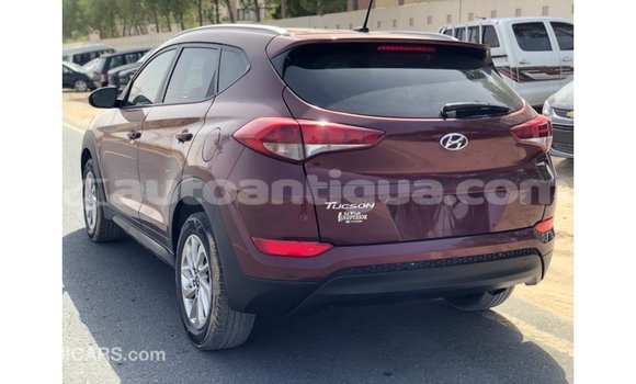 Buy Import Hyundai Tucson Red Car in Import - Dubai in Antigua Buy Import Hyundai Tucson Red Car in Import - Dubai in Antigua