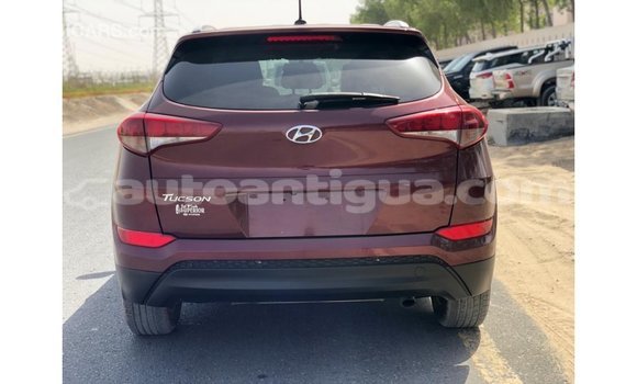 Buy Import Hyundai Tucson Red Car in Import - Dubai in Antigua Buy Import Hyundai Tucson Red Car in Import - Dubai in Antigua