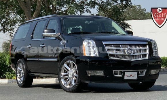 Buy Import Cadillac Escalade Black Car in Import - Dubai in Antigua