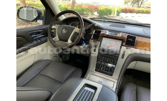 Buy Import Cadillac Escalade Black Car in Import - Dubai in Antigua Buy Import Cadillac Escalade Black Car in Import - Dubai in Antigua